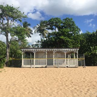 The Inspector's shack on the beach with palm trees behind