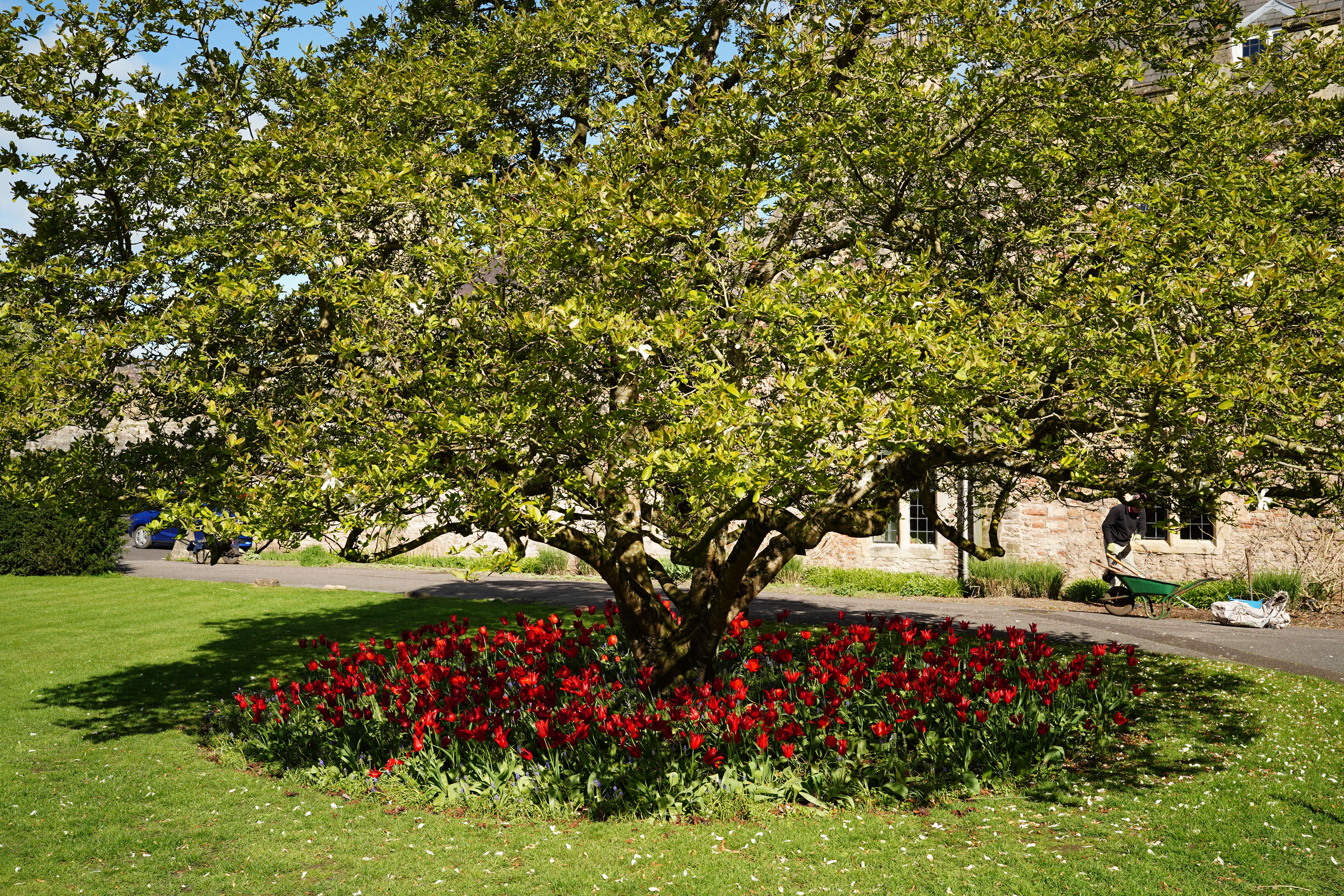 Sigma 35mm f/1.2 DG II Art sample image