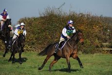 Team-chasing1.jpg