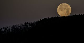 Supermoon Climbs Over Grand Mesa National Forest