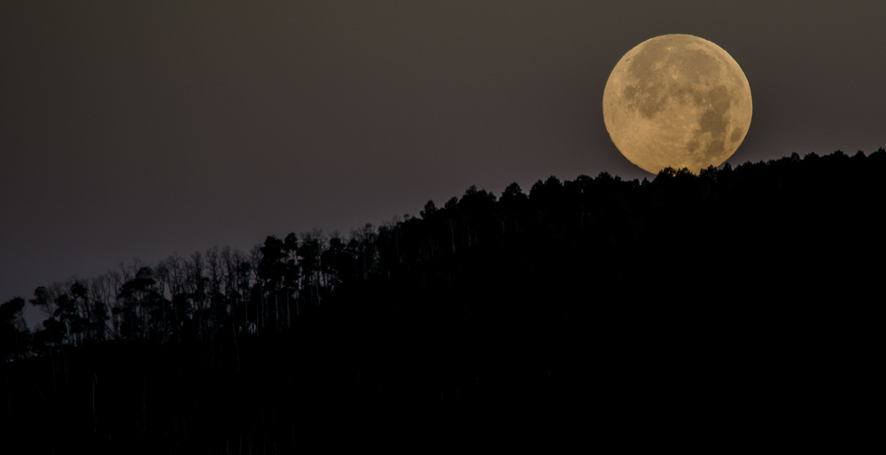 Supermoon Climbs Over Grand Mesa National Forest