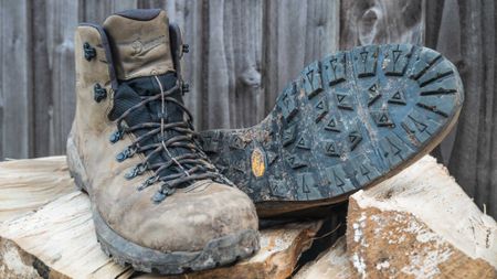 Danner Mountain 600 Evo review