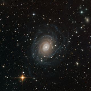 speculoos ngc 6902 galaxy hangs in space.