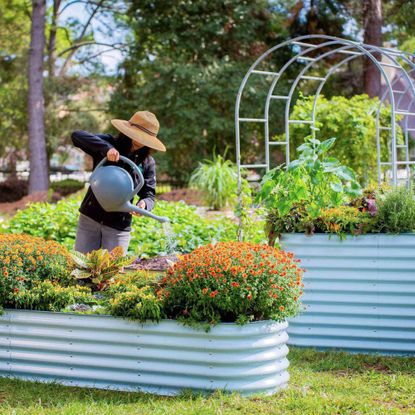 A woman in a sunhat waters flowers in a raised vego bed with a watering can