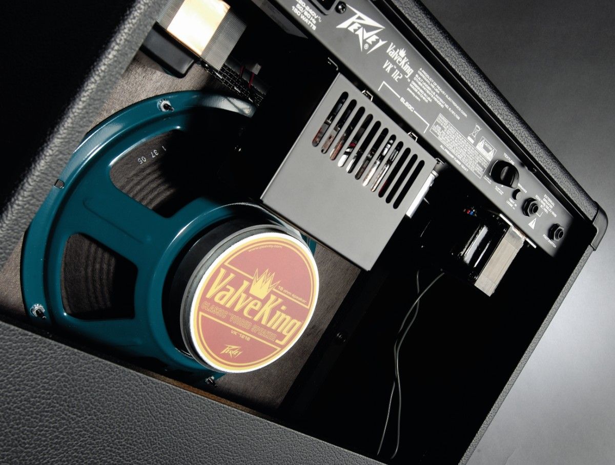 The 12" speaker is Peavey's own design
