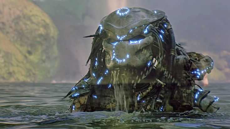 Predator