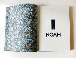Noah graphic novel