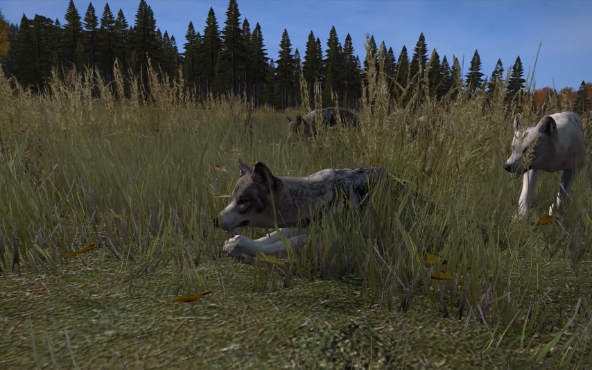 DayZ to get predatory animals, including wolves PC Gamer