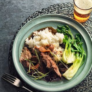 A teal plate bowl filled with pak choi, rice and spiced meat