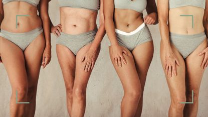 main shot to illustrate the hairy bikini line - four women with different body types in grey underwear