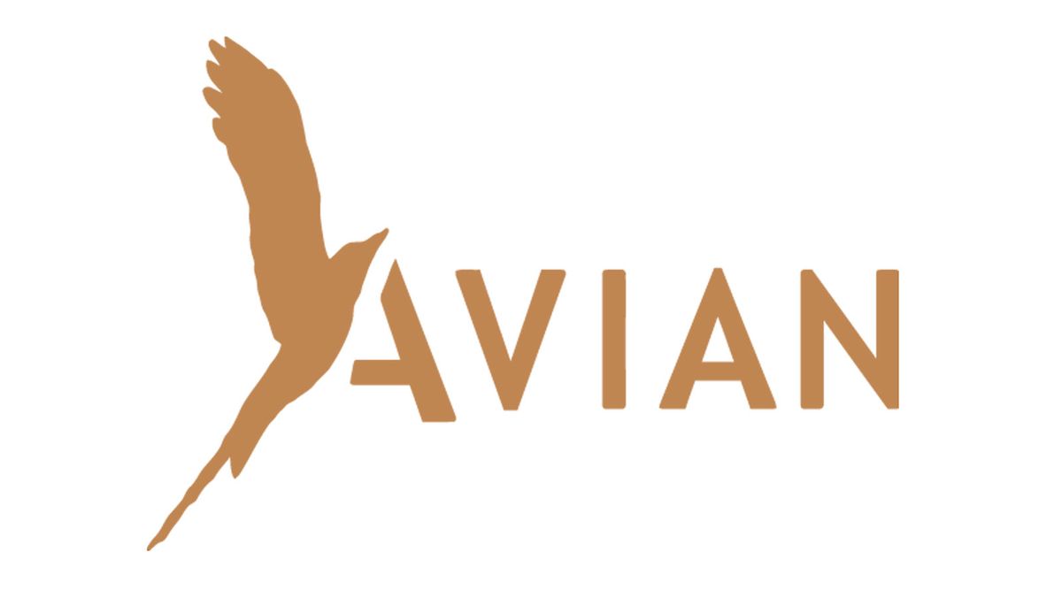 Avian Guitars at Acoustic Expo 2014 | MusicRadar