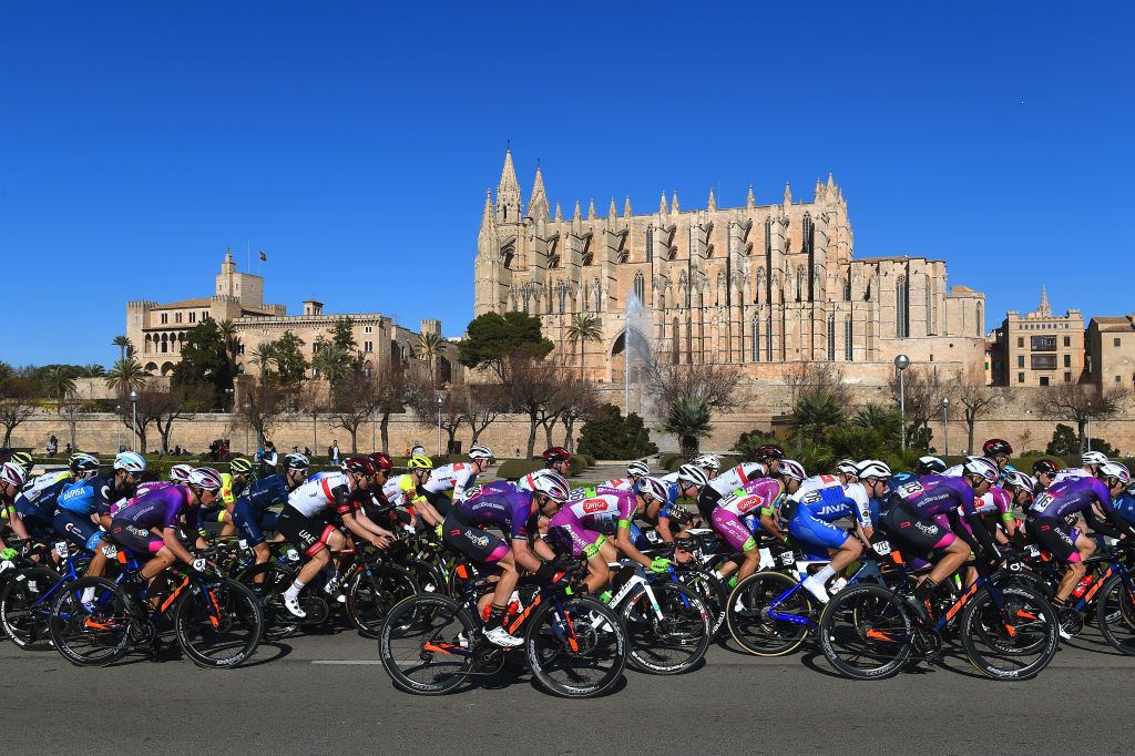 PALMA SPAIN JANUARY 30 A general view of the Peloton passing in front of Palma City Cathedral during the 1st Challenge Ciclista Mallorca 2022 Trofeo Playa De PalmaPalma a 1691km race from Playa de Palma to Palma ChallengeMallorca on January 30 2022 in Palma Spain Photo by Dario BelingheriGetty Images