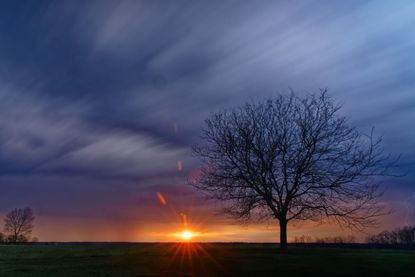 Silhouette of tree on field against sky during sunset, Richmond, Indiana