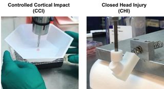 An image of the experimental set-up for simulating head injuries, with the left image showing an instrument directly hitting the brain models and the right image showing a enclosed, plastic form that gets hit by a piston