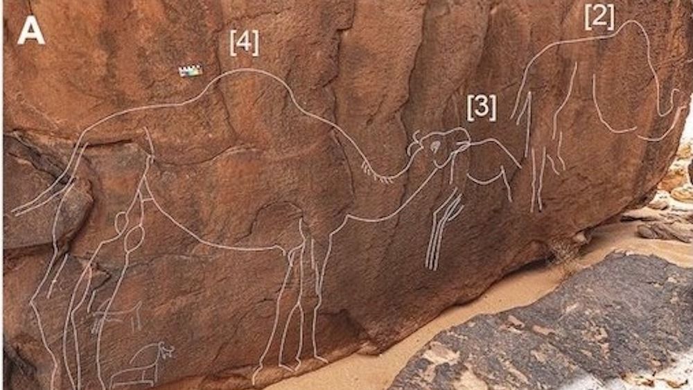 A camel carved into a rock outcropping