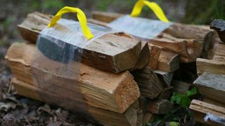 best campfire songs: firewood bundle