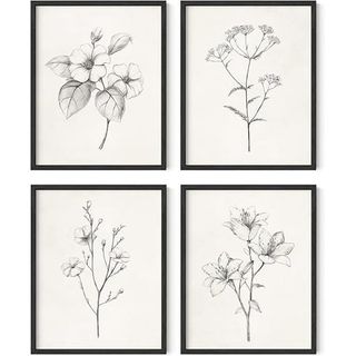 Haus and Hues Framed Vintage Botanical Prints - Set of 4 