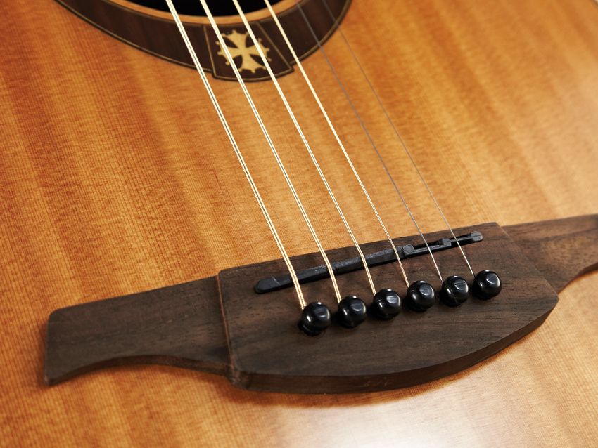 An attractive soundhole rosette is the T200D's only decorative feature.