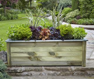 a wooden trough planter with a variety of salad vegetables growing