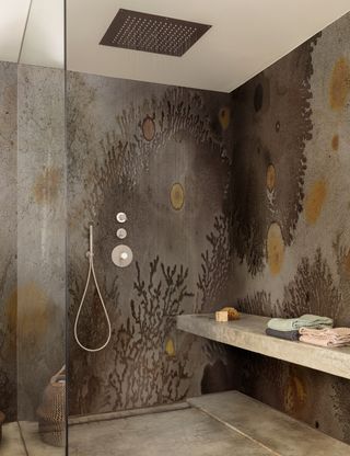Shower room idea with wall decor