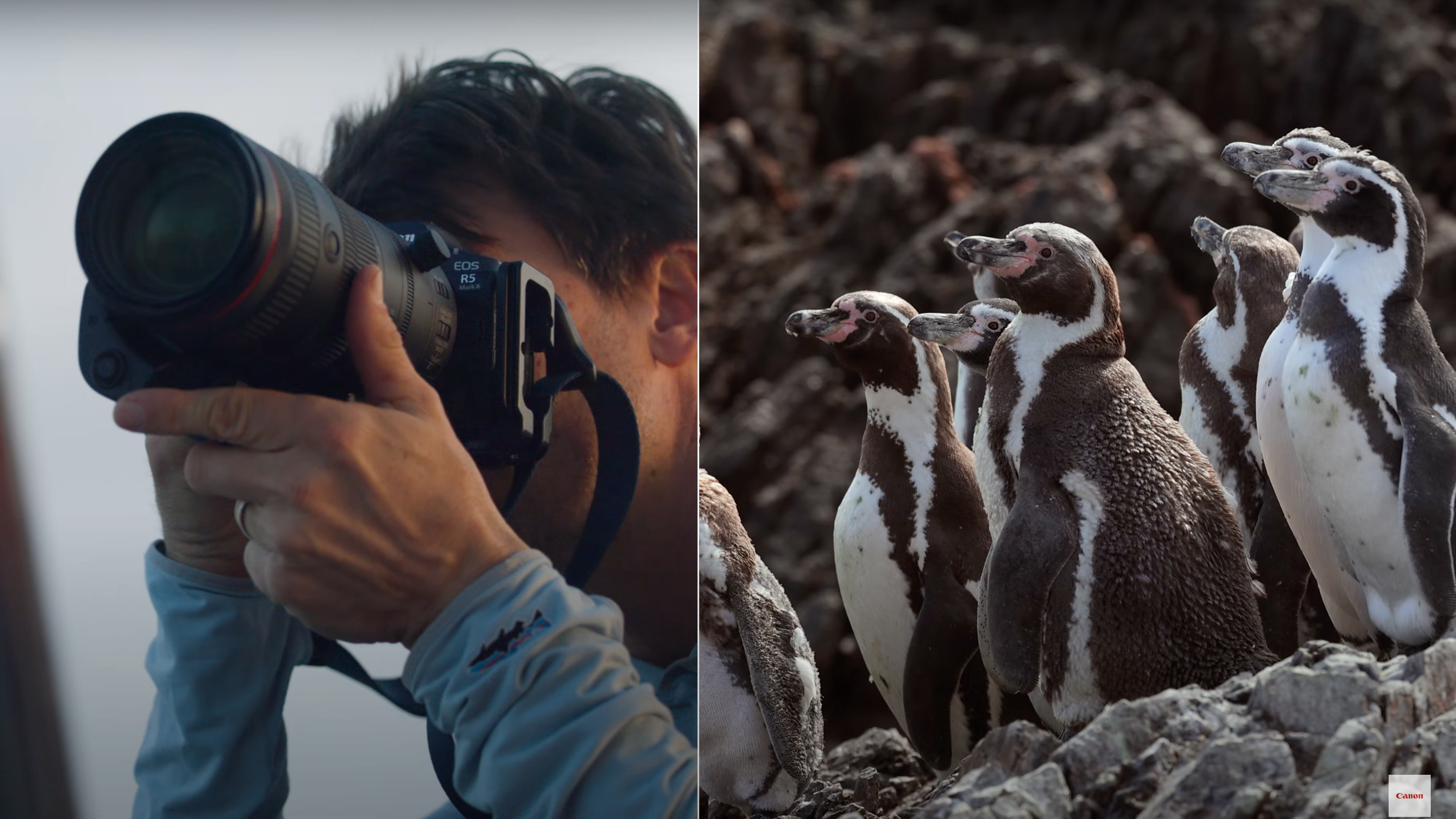 Keith Ladzinski x Canon