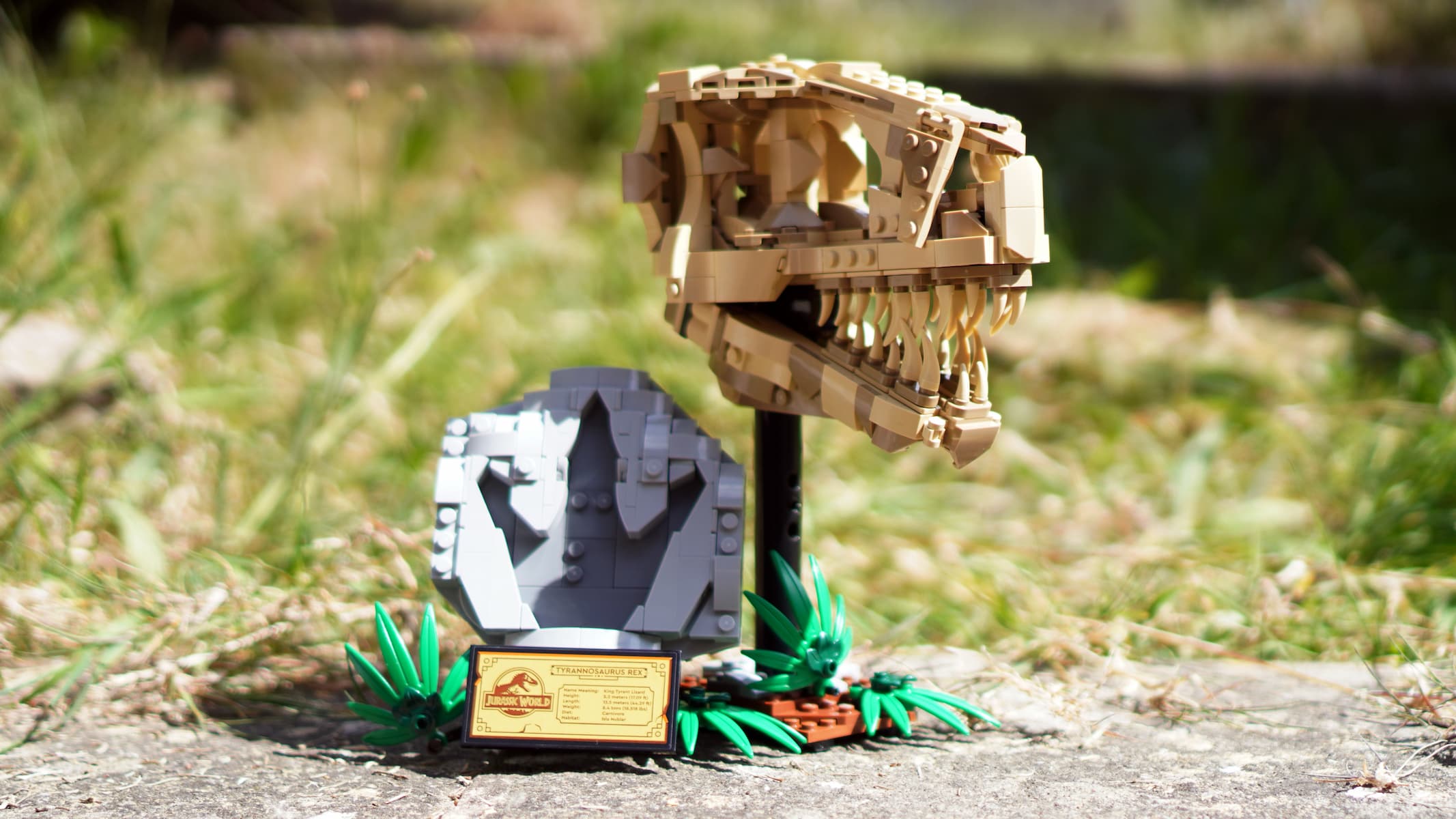 Lego Dinosaur Fossils: T. rex Skull