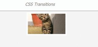 Here we have one item in our new CSS transition powered portfolio. It looks a bit isolated, so we’ll add some more to really fill out the page