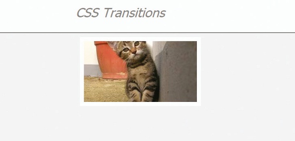 Here we have one item in our new CSS transition powered portfolio. It looks a bit isolated, so we’ll add some more to really fill out the page