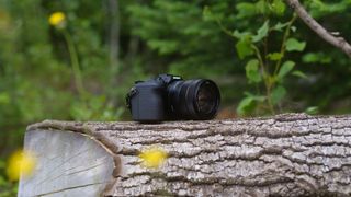 The Sony RX10 photographed outdoors