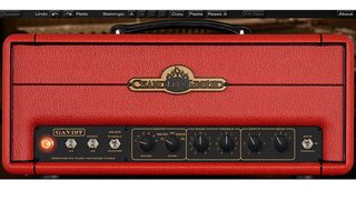 Chandler Limited GAV19T Amplifier