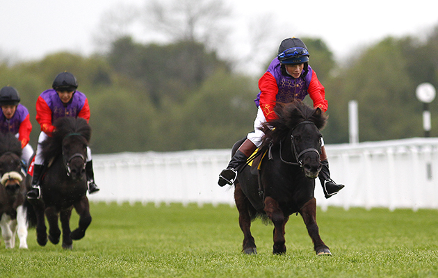 Dunfermline-ridden-by-Digby-Sheperd-wins-Royal-Shetland-Race-1.jpg