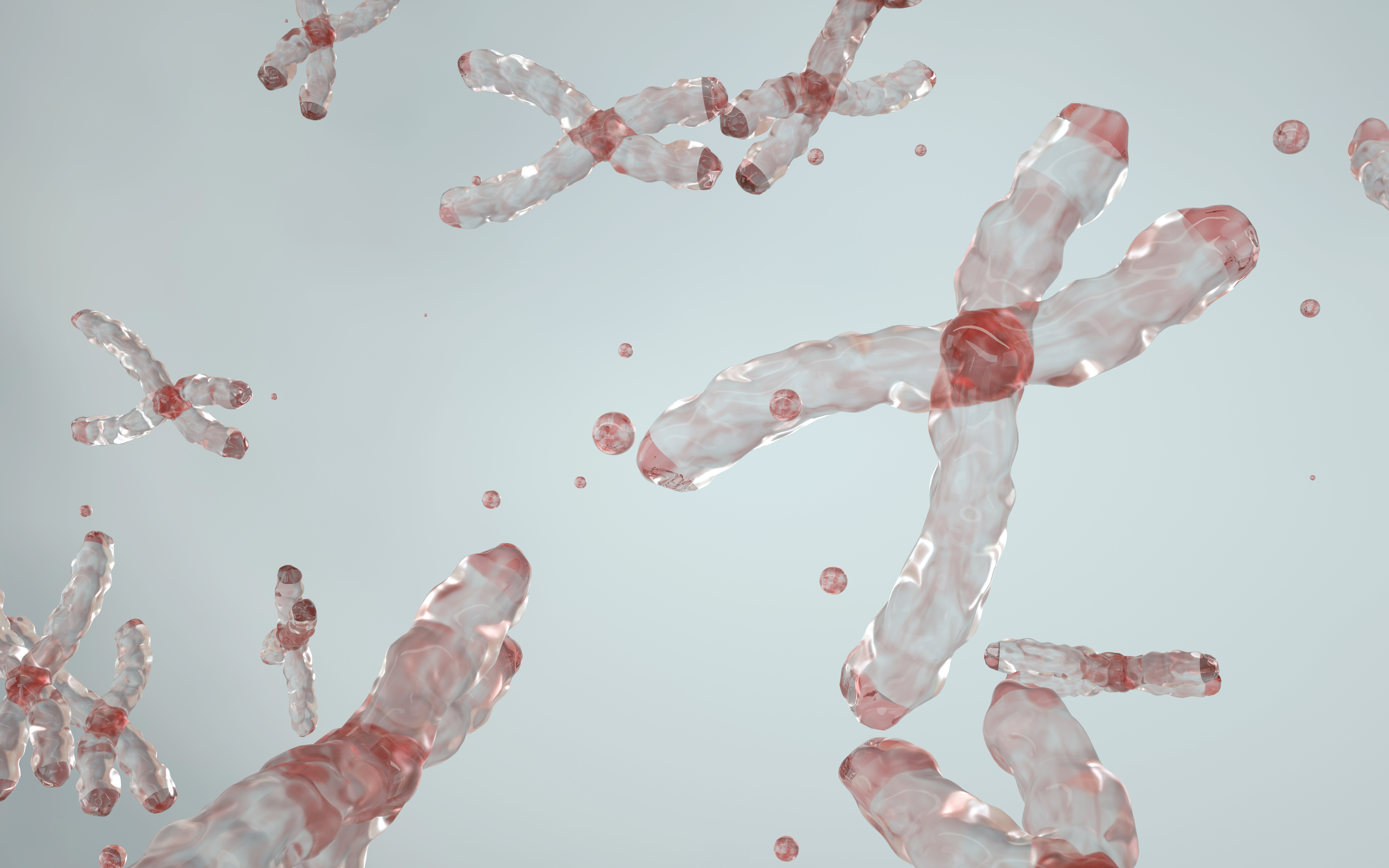 Translucent red chromosomes on a pale blue background