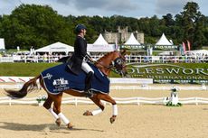 BAROLO_Bolesworth_PN17_54434.jpg