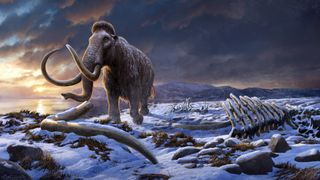 An artist's illustration of Wrangel Island's last surviving woolly mammoth.