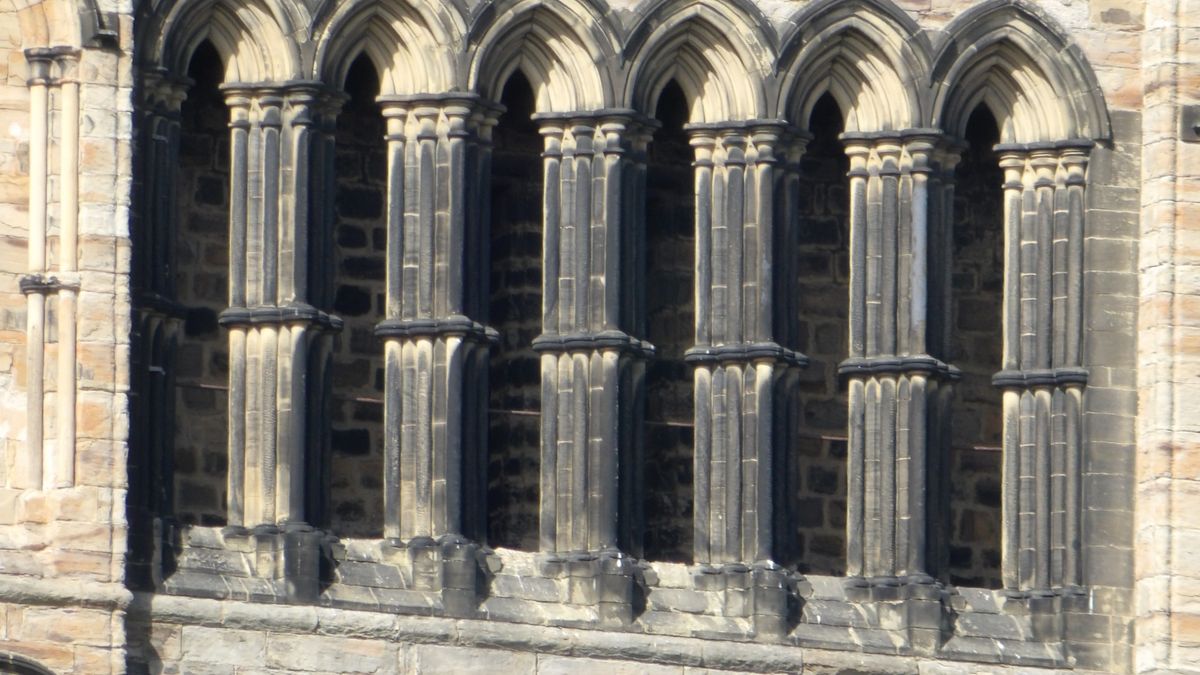 Images taken with the Kodak PixPro AZ653 bridge camera