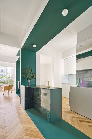 A kitchen with matte green wall and floor paint