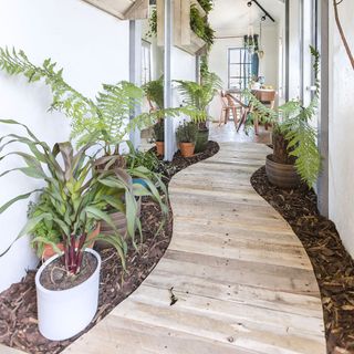 wooden pathway with plant pots