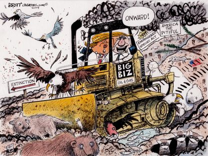 Political Cartoon Trump Bulldozer Big Business Oil Gas Endangered Species