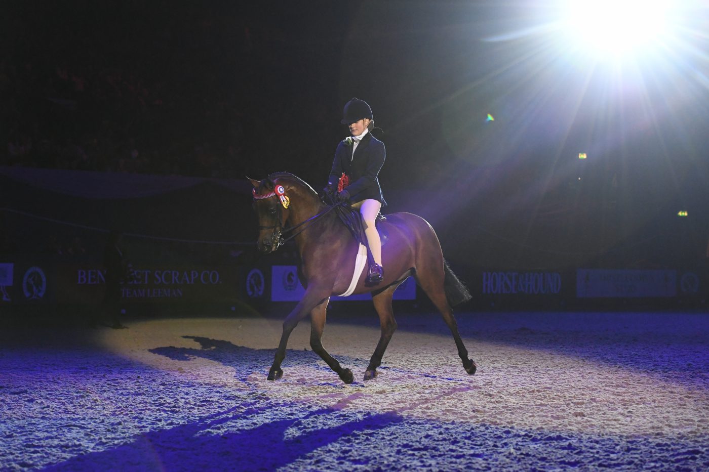 HorseNo1274_HOYS_PN19_153881-e1570532992915.jpg