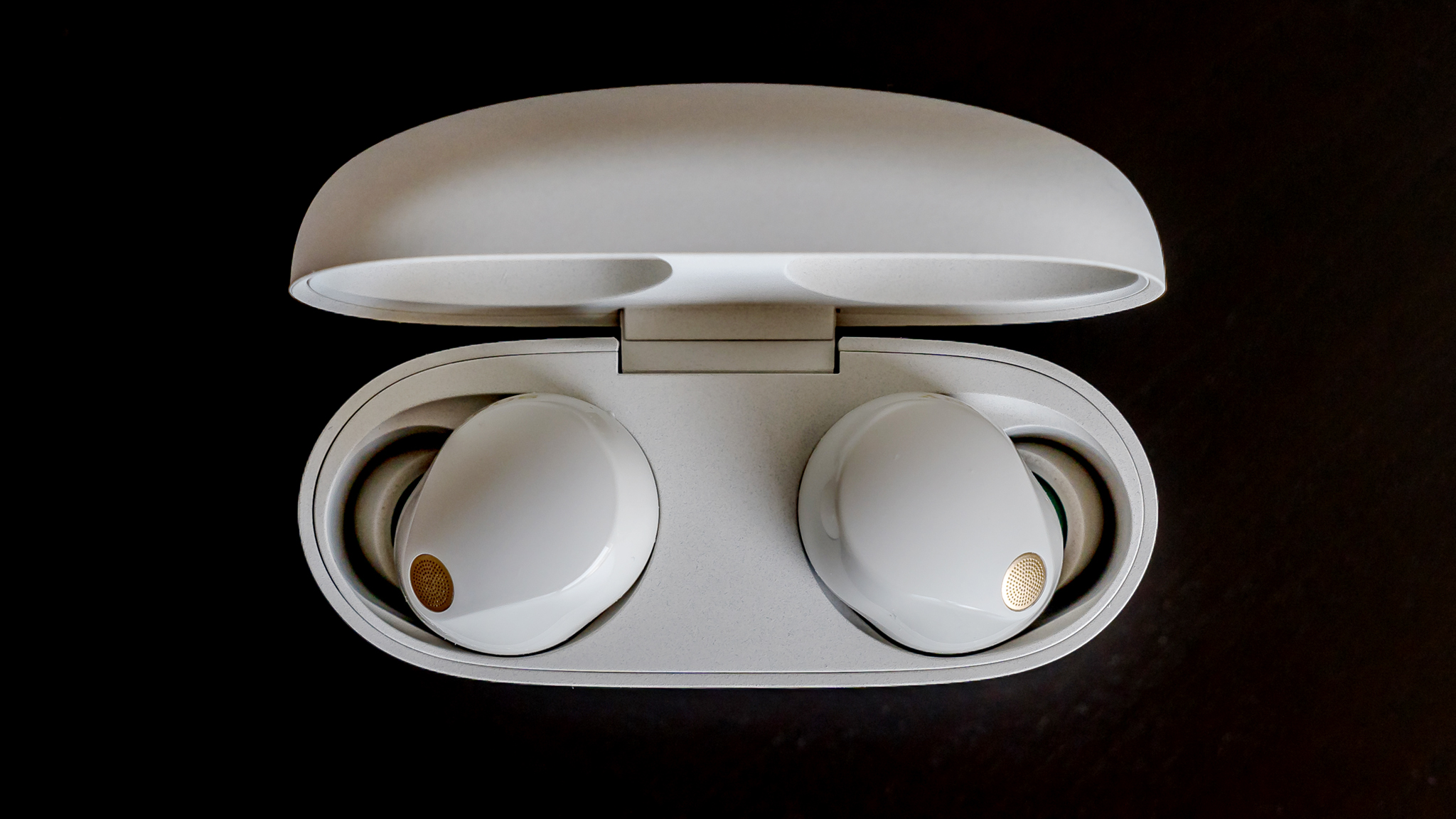 Sony WF-1000XM5 earbuds in case lid open.