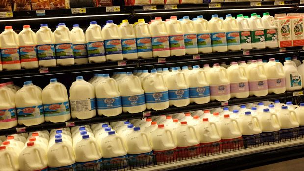  Milk for sale on a grocery store shelf