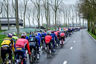 The 2023 Tour of Flanders peloton