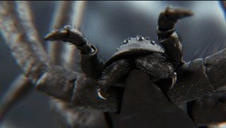 The ultra-realistic spider was created using a combination of Cinema 4D and ZBrush