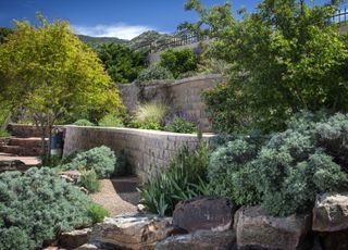 walled garden with step landscaping, vertical garden