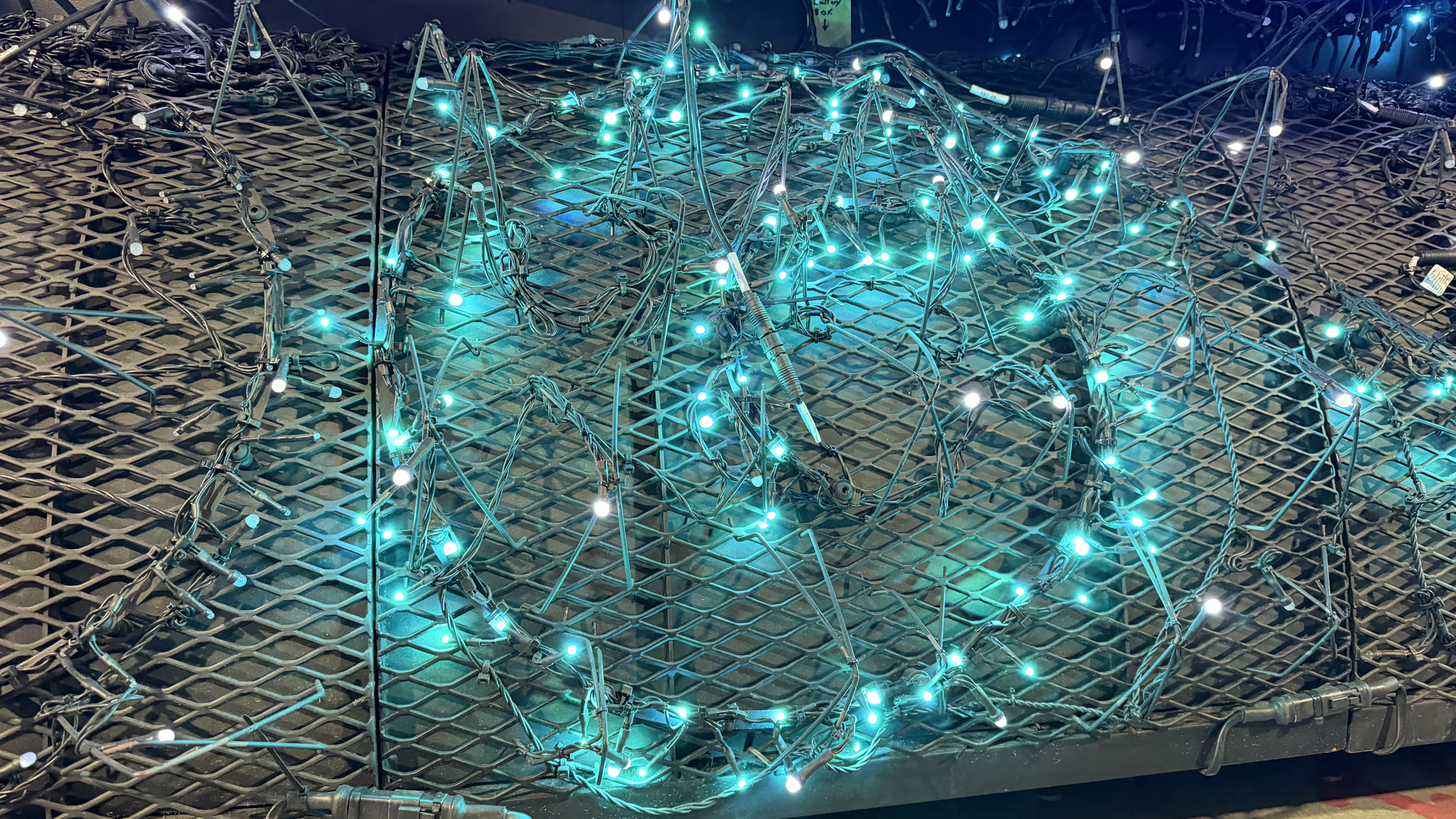 Disney World Starlight Parade Tour