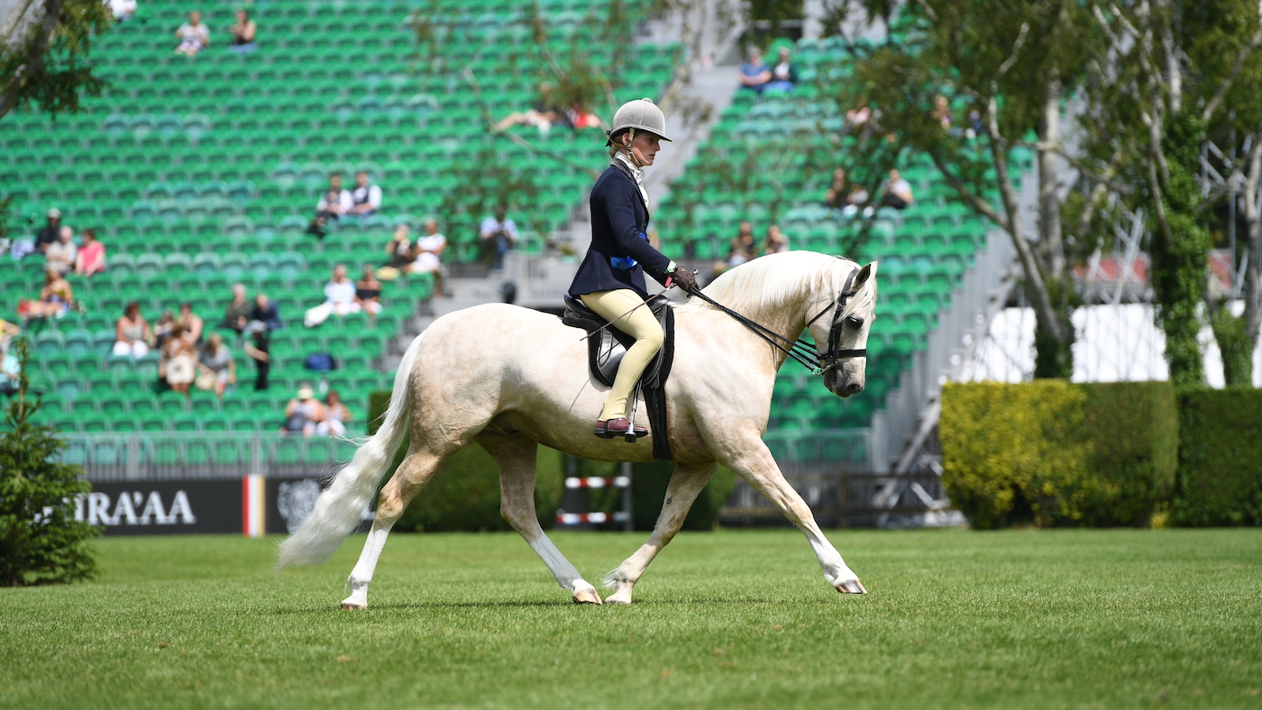 Champion native pony Colby Silver Sprite, ridden by Sam Roberts