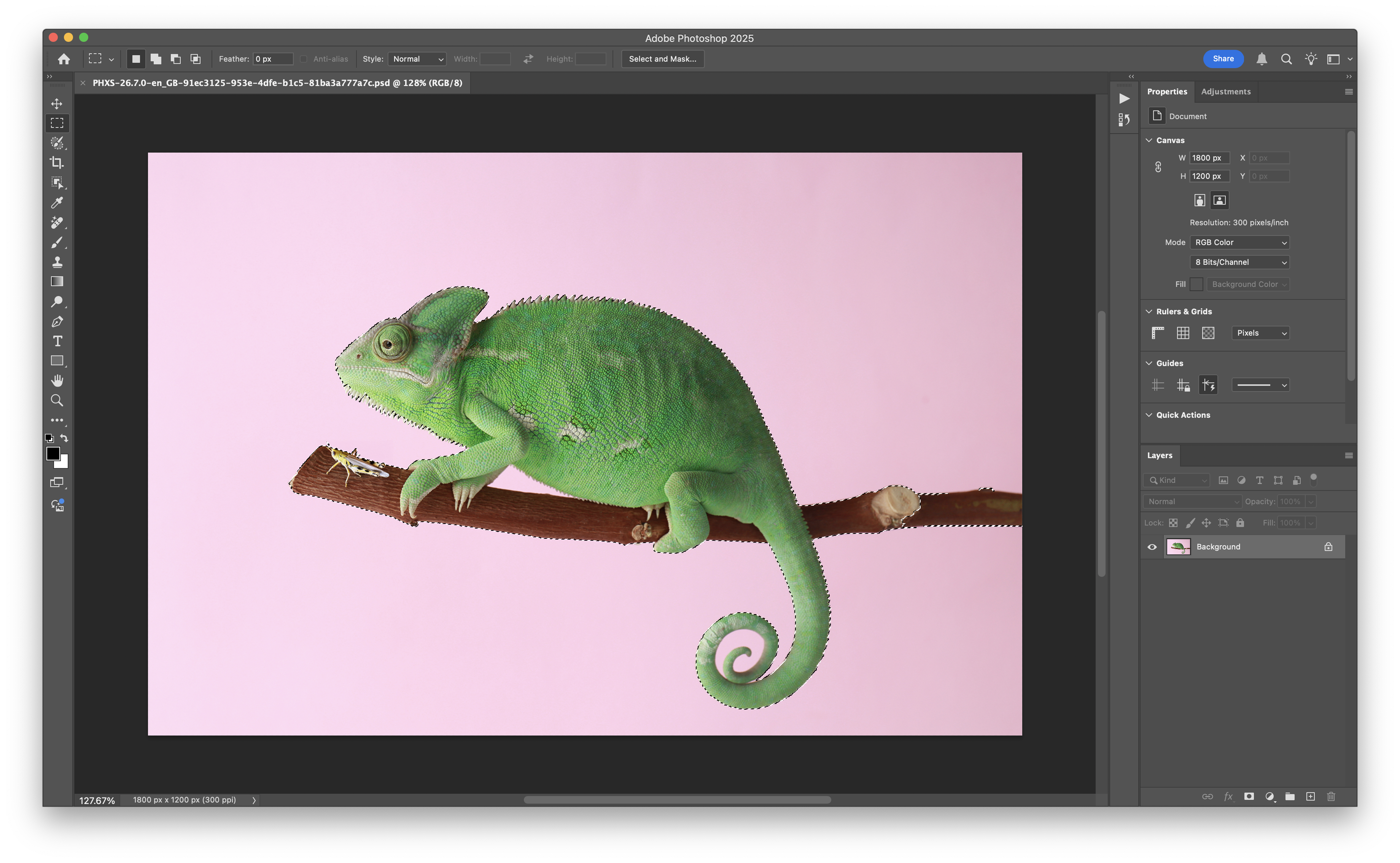 Photoshop