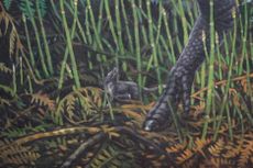 This mural shows an artist's conception of the mouse-sized animal scampering at the feet of the dinosaurs. 