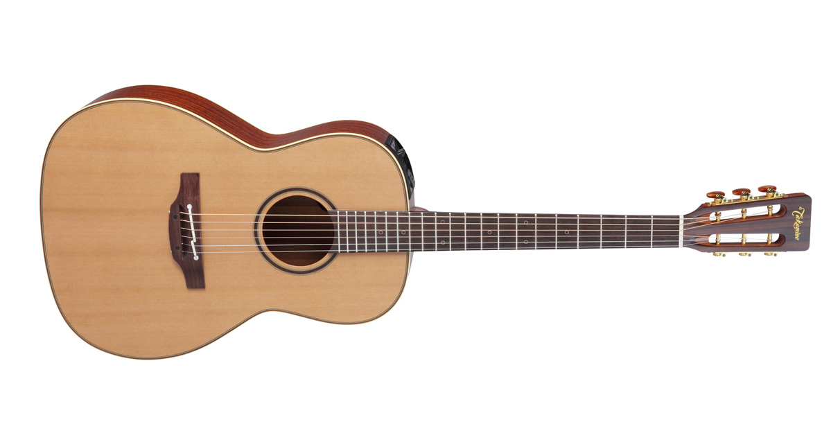 The Takamine P3NY