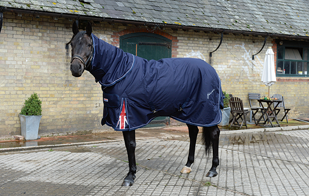 Review of Turn-out rugs; Rug No3, John Whitaker Full Neck Combo 350g, at Wild Farm Equestrian, near Watford in Hertfordshire, UK on 1st September 2015